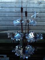 Hampton Top Bullrush.jpg